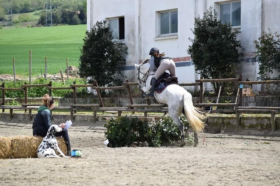 Resultados Concurso Nacional de Trec*** y Campeonato Navarro 2018